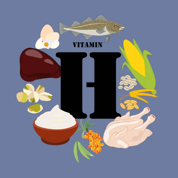 Vitamin Gazdag Élelmiszer Vektor Illusztráció Kék Háttér — Stock Vector