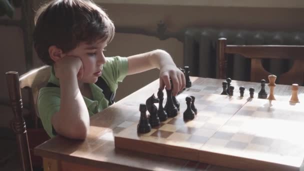 Six-year-old boy arranges figures on a chess board — Stock Video