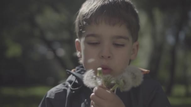 Preescolar soplado diente de león en el parque.Cámara de alta velocidad, cámara lenta — Vídeos de Stock