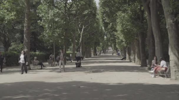 Wandelen steegje in botanische tuin in Parijs — Stockvideo