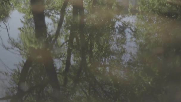 Child rides a bicycle over a puddle in summer day. Slow motion. Reflection — Stock Video