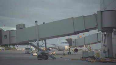 Saint-Petersburg Pulkovo Havaalanı pistinde yükleme Bagaj