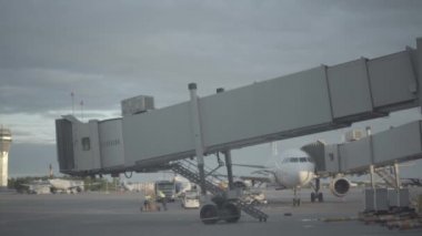 Saint-Petersburg Pulkovo Havaalanı pistinde yükleme Bagaj