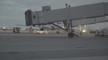 Saint-Petersburg Pulkovo Havaalanı pistinde yükleme Bagaj