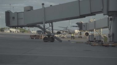 Saint-Petersburg Pulkovo Havaalanı pistinde yükleme Bagaj