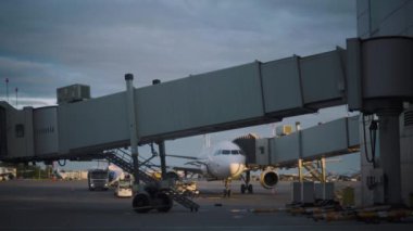 Saint-Petersburg Pulkovo Havaalanı pistinde yükleme Bagaj