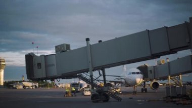 Saint-Petersburg Pulkovo Havaalanı pistinde yükleme Bagaj