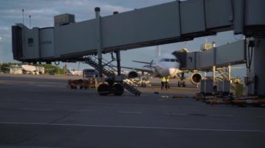 Saint-Petersburg Pulkovo Havaalanı pistinde yükleme Bagaj