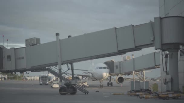 Gepäckverladebahn auf dem Flughafen Pulkovo in Sankt Petersburg — Stockvideo