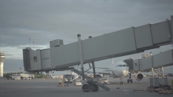 Piste de chargement des bagages à l'aéroport Pulkovo de Saint-Pétersbourg — Video