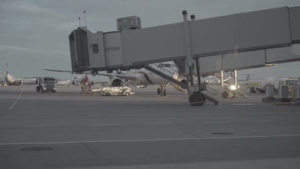 Дорожка погрузки багажа в аэропорту Пулково в Санкт-Петербурге — стоковое видео