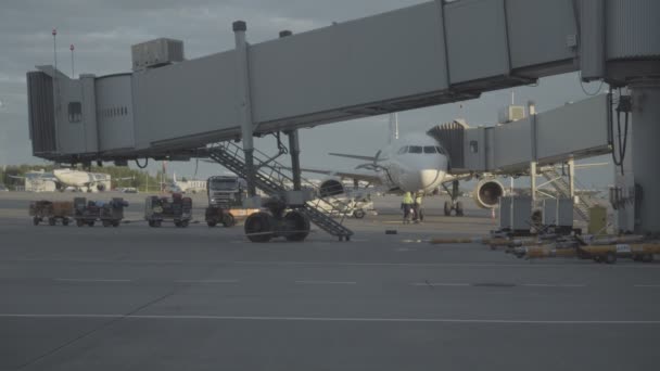 Gepäckverladebahn auf dem Flughafen Pulkovo in Sankt Petersburg — Stockvideo