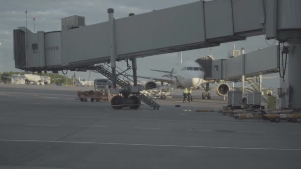 Pista de carga de equipaje en el aeropuerto Pulkovo de San Petersburgo — Vídeo de stock