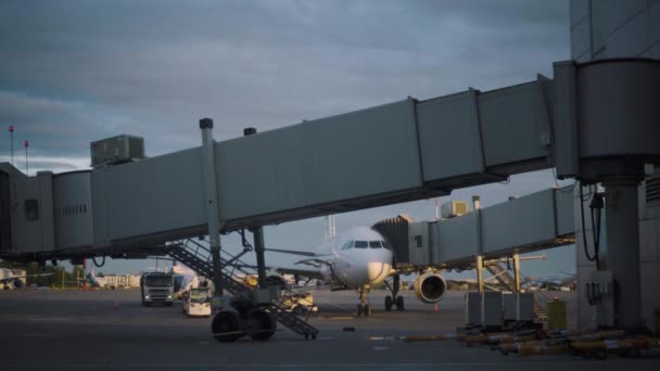 Trilha de carga de bagagem no aeroporto de Pulkovo, em São Petersburgo — Vídeo de Stock