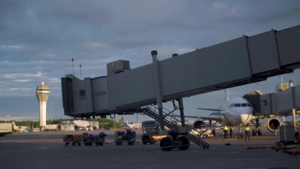 Piste de chargement des bagages à l'aéroport Pulkovo de Saint-Pétersbourg — Video