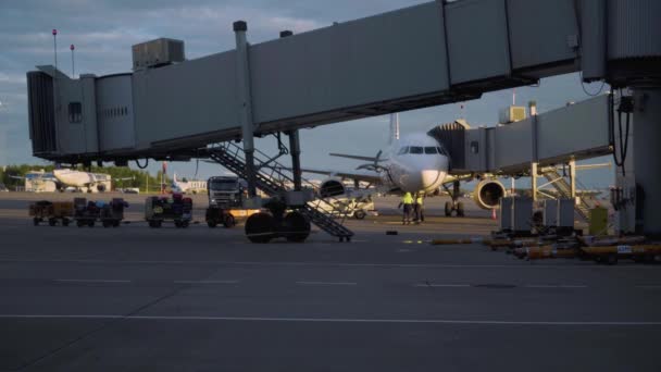 Gepäckverladebahn auf dem Flughafen Pulkovo in Sankt Petersburg — Stockvideo