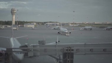 Saint-Petersburg Pulkovo Havaalanı pistinde yükleme Bagaj