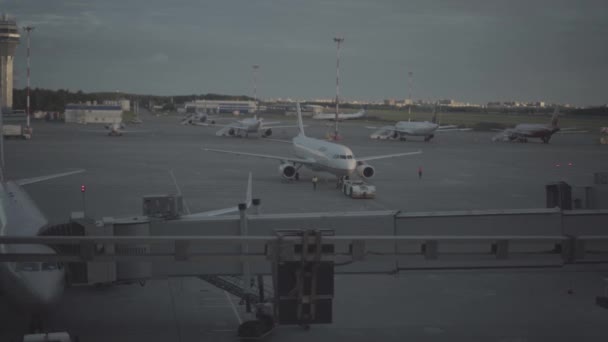 Remorquant un avion avec un tracteur à l'aéroport Pulkovo de Saint-Pétersbourg — Video