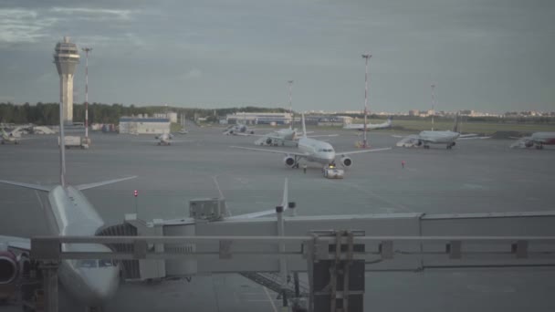 Piste de chargement des bagages à l'aéroport Pulkovo de Saint-Pétersbourg — Video