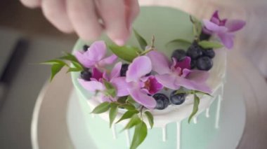 Şekerci turkuaz düğün bisküvisi kekini yaban mersiniyle güzelce süslüyor.