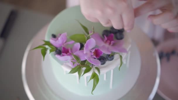 Confectioner prydligt dekorerar turkos bröllop kaka med blåbär — Stockvideo