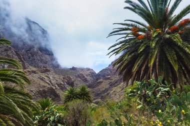 Muhteşem masca dağ Gorge Tenerife en çok ziyaret edilen turistik