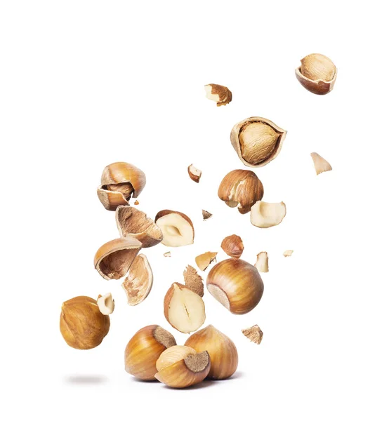 Kacang Kering Jatuh Bawah Terisolasi Latar Belakang Putih — Stok Foto