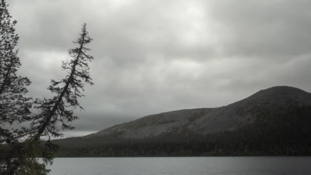 Nubes Grises Sobre Lago Forestal Norte Europa — Vídeos de Stock