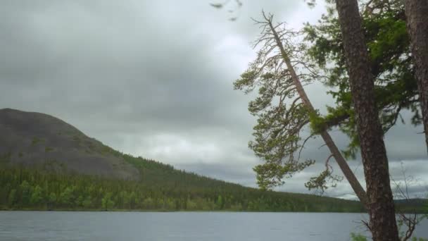 Nubes Grises Sobre Lago Forestal Algún Lugar Del Norte Europa — Vídeos de Stock