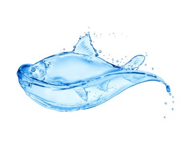 Fish made of water splashes isolated on a white background clipart