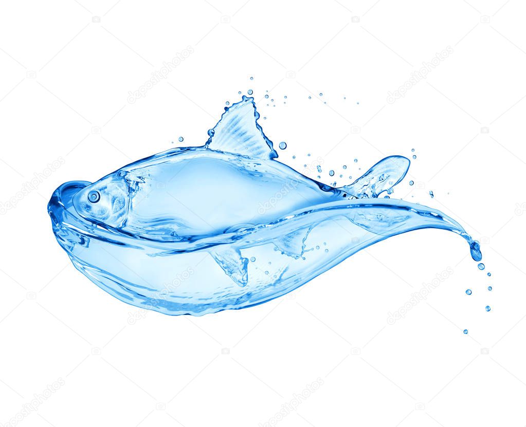Fish made of water splashes isolated on a white background