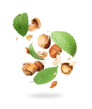 Beyaz arka plan üzerinde yaprakları ile kırık fındık düşmek 