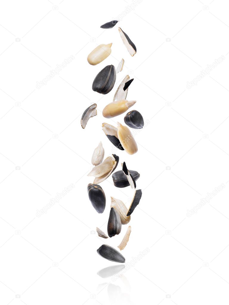 Cracked sunflower seed fall down isolated on white background