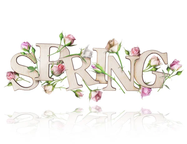 Drewniany napis Wiosna z gałęziami róż, izolowane na białym tle — Zdjęcie stockowe
