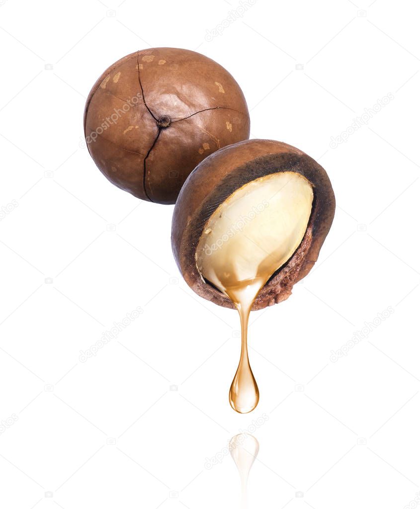 Oil dripping from macadamia nut, isolated on a white background