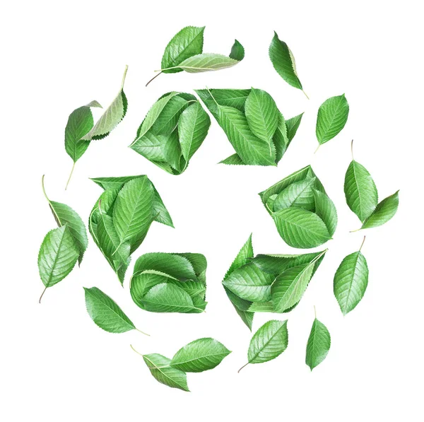 Znak recyklingu wykonany ze świeżych zielonych liści, obraz koncepcyjny na białym tle — Zdjęcie stockowe