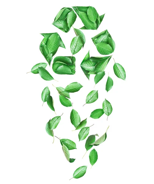 O sinal de reciclagem criado a partir de folhas verdes frescas, isoladas em um fundo branco — Fotografia de Stock