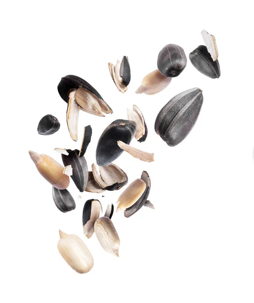 Sunflower Seeds Crushed Pieces Close White Background — Stock Photo, Image