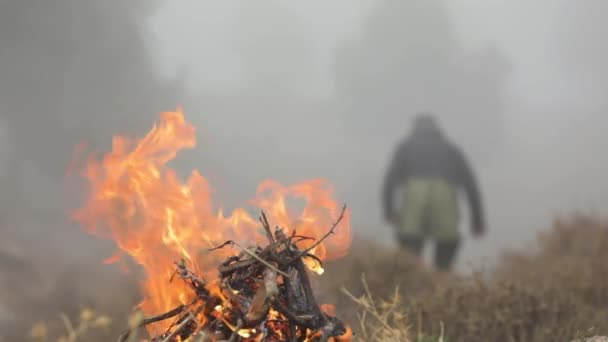 Uomo Vicino Fuoco Rallentatore Falò Nella Foresta — Video Stock