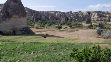 Kapadokya Göreme Dağların üzerinden uçan bir dronun Cappadocia.Aerial çekimde volkanik tepelerin üstünde dron çerçeveler. Manzara Panaroma. Türkiye'de 4k.