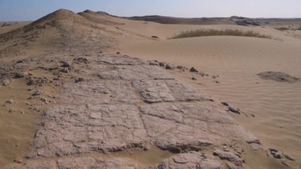 Dia Ensolarado Vento Deserto Dunas Areia Ásia — Vídeo de Stock