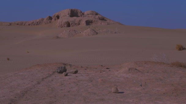 Ruinas Pueblo Abandonado Asia Central Día Soleado Ventoso Desierto — Vídeo de stock