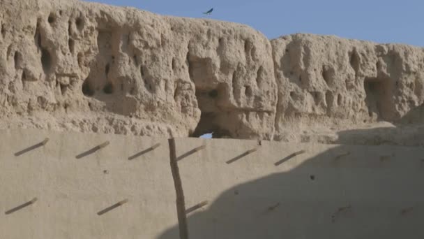 Ruinerna Övergiven Stad Central Asien Blåsigt Solig Dag Öknen — Stockvideo