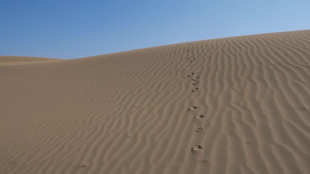 Huellas Arena Dunas Desierto — Vídeos de Stock