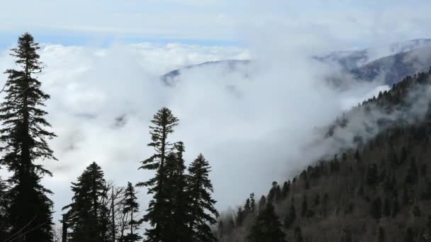 Temps Écoulé Des Collines Montagneuses Brouillard Sur Les Collines — Video