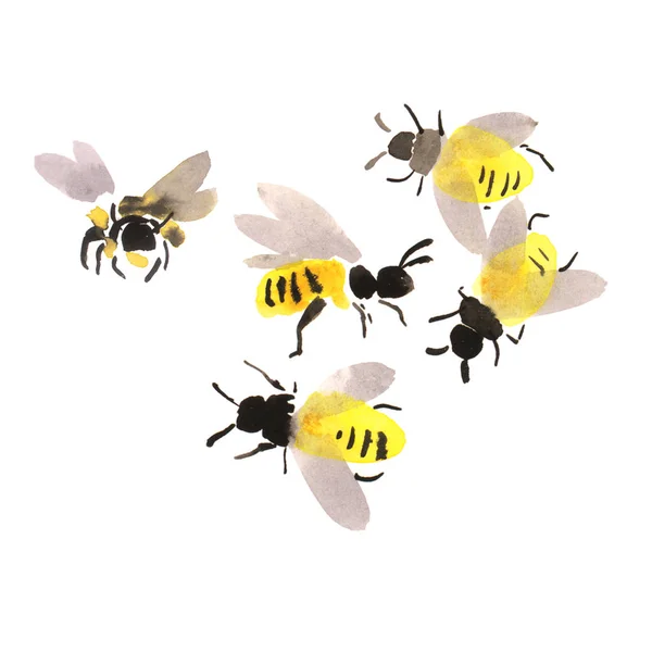 Zestaw Latającej Pszczoły Rysunek Ręka Akwarela — Zdjęcie stockowe
