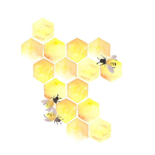 六角形に蜂蜜を入れた蜂蜜のハニカム ミツバチは巣の中で働いている — ストック写真