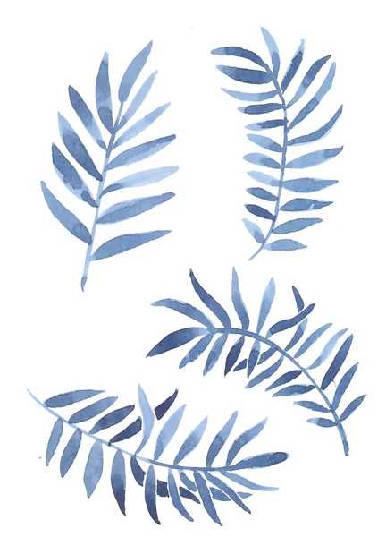 tropikal suluboya yaprakları kümesi. Hurma. Mavi tonlarında.