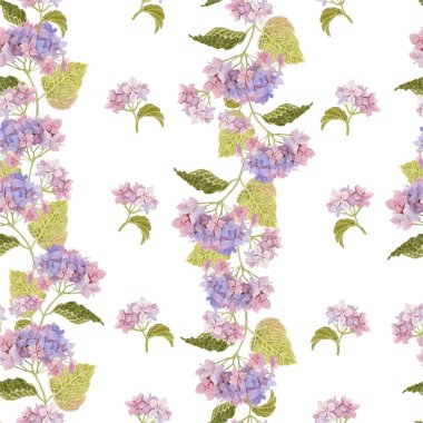 Çiçek açan mavi ortanca deseni. izole arka plan üzerinde el boyalı suluboya