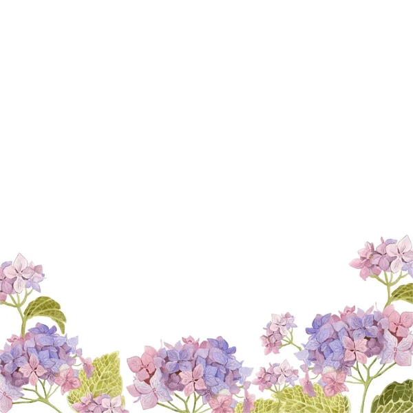 Çiçek açan mavi ortancanın çerçevesi. izole bir arka plan üzerinde el suluboya. Kartlar ve afişler için